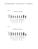 FLUORESCENT COMPOUNDS diagram and image