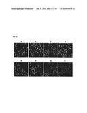 FLUORESCENT COMPOUNDS diagram and image