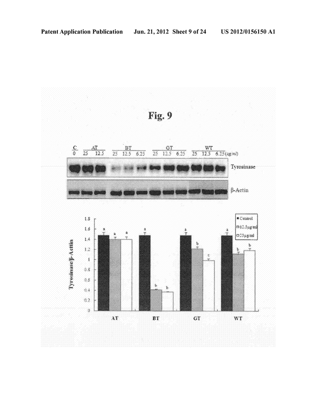 Composition for Improving Skin Condition Comprising Extract from Black Tea     as Active Ingredient - diagram, schematic, and image 10