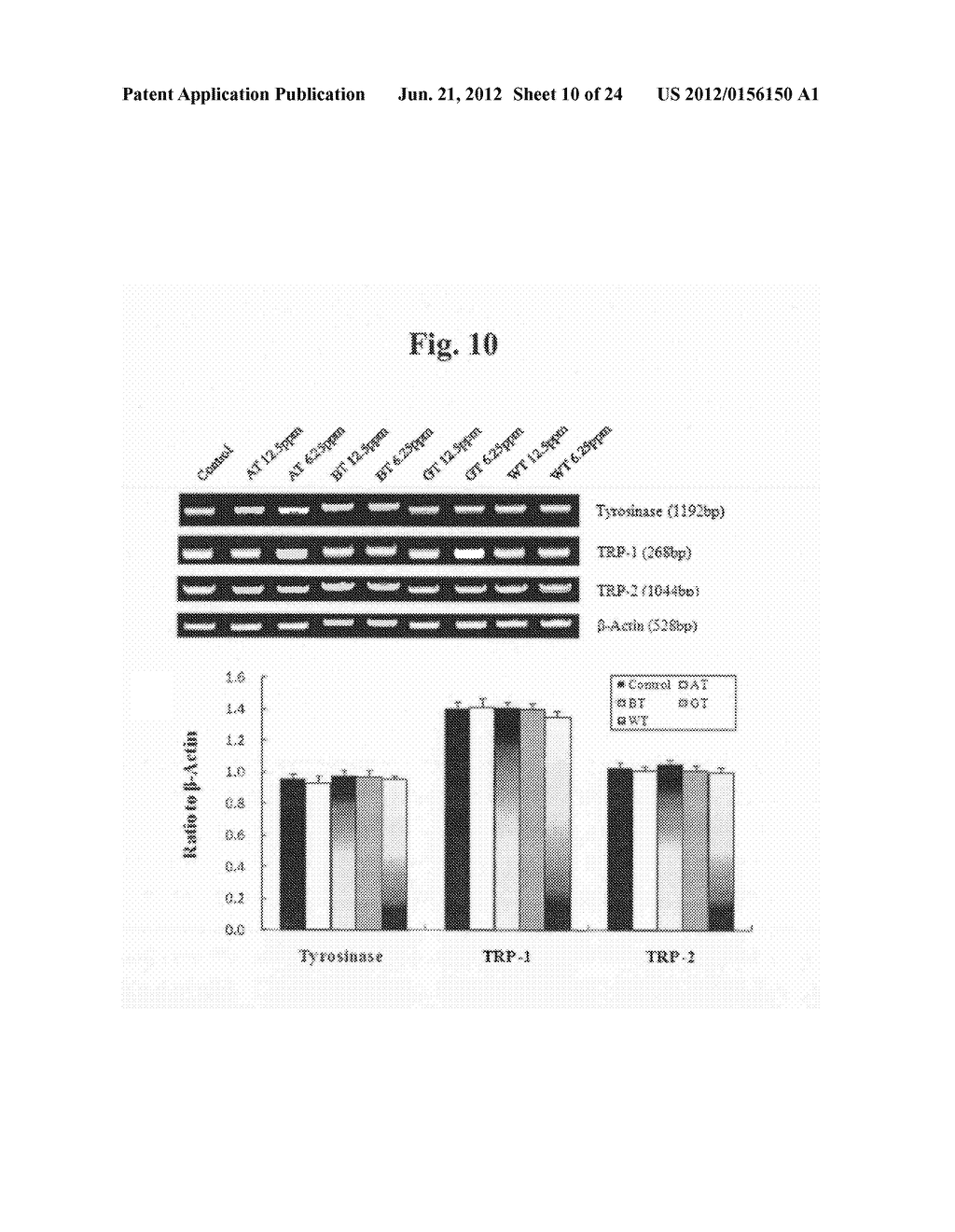 Composition for Improving Skin Condition Comprising Extract from Black Tea     as Active Ingredient - diagram, schematic, and image 11