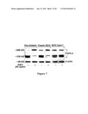 RECOMBINANT MYCOBACTERIUM STRAIN EXPRESSING A MYCOBACTERIAL FAP PROTEIN     UNDER THE CONTROL OF A PROMOTER ACTIVE UNDER HYPOXIA  AND ITS APPLICATION     FOR CANCER THERAPY diagram and image