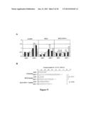 RECOMBINANT MYCOBACTERIUM STRAIN EXPRESSING A MYCOBACTERIAL FAP PROTEIN     UNDER THE CONTROL OF A PROMOTER ACTIVE UNDER HYPOXIA  AND ITS APPLICATION     FOR CANCER THERAPY diagram and image