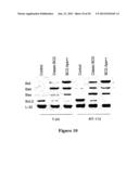 RECOMBINANT MYCOBACTERIUM STRAIN EXPRESSING A MYCOBACTERIAL FAP PROTEIN     UNDER THE CONTROL OF A PROMOTER ACTIVE UNDER HYPOXIA  AND ITS APPLICATION     FOR CANCER THERAPY diagram and image