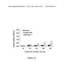 RECOMBINANT MYCOBACTERIUM STRAIN EXPRESSING A MYCOBACTERIAL FAP PROTEIN     UNDER THE CONTROL OF A PROMOTER ACTIVE UNDER HYPOXIA  AND ITS APPLICATION     FOR CANCER THERAPY diagram and image