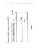 RECOMBINANT MYCOBACTERIUM STRAIN EXPRESSING A MYCOBACTERIAL FAP PROTEIN     UNDER THE CONTROL OF A PROMOTER ACTIVE UNDER HYPOXIA  AND ITS APPLICATION     FOR CANCER THERAPY diagram and image