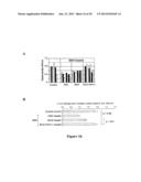 RECOMBINANT MYCOBACTERIUM STRAIN EXPRESSING A MYCOBACTERIAL FAP PROTEIN     UNDER THE CONTROL OF A PROMOTER ACTIVE UNDER HYPOXIA  AND ITS APPLICATION     FOR CANCER THERAPY diagram and image