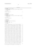 RECOMBINANT MYCOBACTERIUM STRAIN EXPRESSING A MYCOBACTERIAL FAP PROTEIN     UNDER THE CONTROL OF A PROMOTER ACTIVE UNDER HYPOXIA  AND ITS APPLICATION     FOR CANCER THERAPY diagram and image