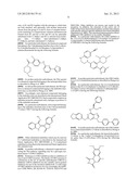 METHOD FOR INDUCING EXTENDED SELF-RENEWAL OF FUNCTIONALLY DIFFERENTIATED     SOMATIC CELLS diagram and image