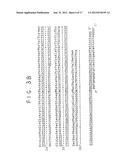 Human-Murine Chimeric Antibodies Against Respiratory Syncytial Virus diagram and image