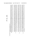 Human-Murine Chimeric Antibodies Against Respiratory Syncytial Virus diagram and image