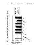 NOVEL ANTI-IL13 ANTIBODIES AND USES THEREOF diagram and image