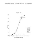 NOVEL ANTI-IL13 ANTIBODIES AND USES THEREOF diagram and image