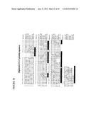 NOVEL ANTI-IL13 ANTIBODIES AND USES THEREOF diagram and image