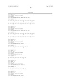 NOVEL ANTI-IL13 ANTIBODIES AND USES THEREOF diagram and image