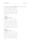 NOVEL ANTI-IL13 ANTIBODIES AND USES THEREOF diagram and image