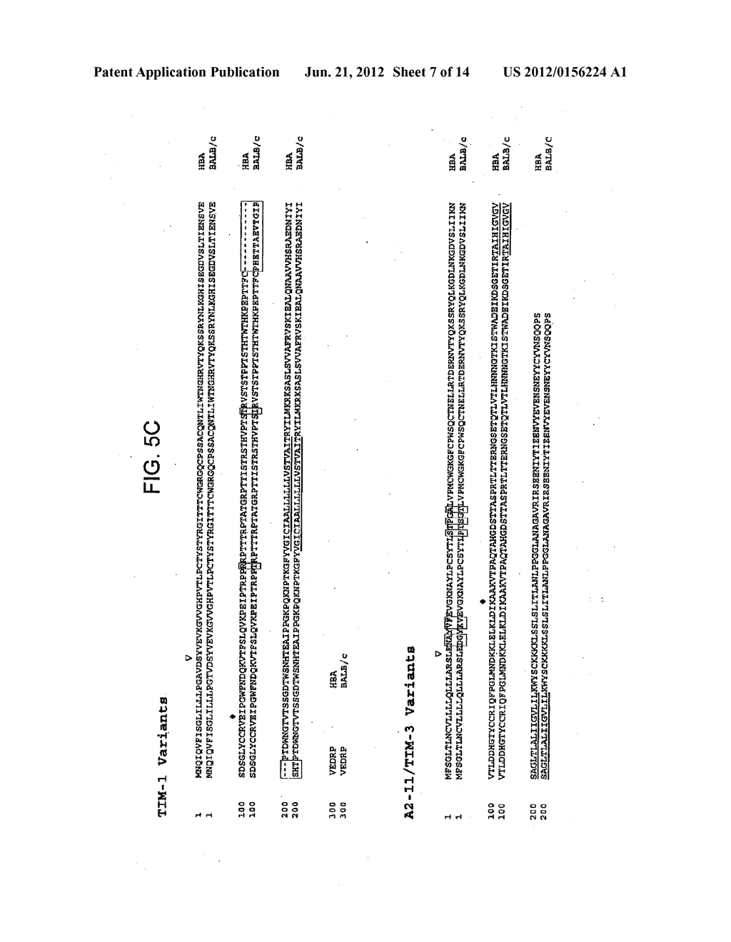 MODULATION OF TIM RECEPTOR ACTIVITY IN COMBINATION WITH CYTOREDUCTIVE     THERAPY - diagram, schematic, and image 08