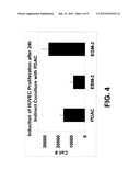 TREATMENT OF SPINAL CORD INJURY AND TRAUMATIC BRAIN INJURY USING PLACENTAL     STEM CELLS diagram and image