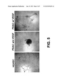 TREATMENT OF SPINAL CORD INJURY AND TRAUMATIC BRAIN INJURY USING PLACENTAL     STEM CELLS diagram and image