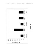 TREATMENT OF SPINAL CORD INJURY AND TRAUMATIC BRAIN INJURY USING PLACENTAL     STEM CELLS diagram and image