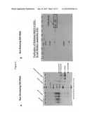 REPROGRAMMING CANCER CELLS diagram and image