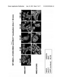 REPROGRAMMING CANCER CELLS diagram and image