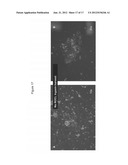 REPROGRAMMING CANCER CELLS diagram and image