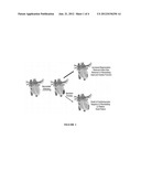 COMPOSITIONS AND METHODS FOR CARDIAC THERAPY diagram and image