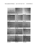 VIRAL INACTIVATED PLATELET EXTRACT, USE AND PREPARATION THEREOF diagram and image