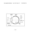 MEDICAL USES OF NANOCLUSTERED WATER diagram and image