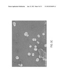 STABLE POLYELECTROLYTE COATED NANOPARTICLES diagram and image