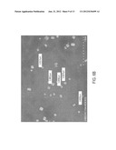 STABLE POLYELECTROLYTE COATED NANOPARTICLES diagram and image
