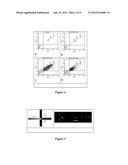 NANOPARTICLES WITH MOLECULAR RECOGNITION ELEMENTS diagram and image