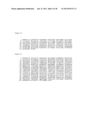 PROTEIN GLYCOSYLATION diagram and image