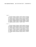 PROTEIN GLYCOSYLATION diagram and image