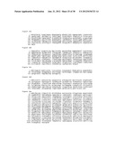 PROTEIN GLYCOSYLATION diagram and image