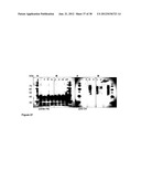 PROTEIN GLYCOSYLATION diagram and image