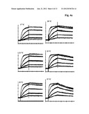 VELOCITY FACTOR diagram and image