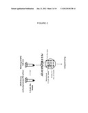 CLONAL AMPLIFICATION OF NUCLEIC ACID ON SOLID SURFACE WITH TEMPLATE     WALKING diagram and image