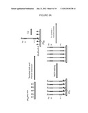 CLONAL AMPLIFICATION OF NUCLEIC ACID ON SOLID SURFACE WITH TEMPLATE     WALKING diagram and image