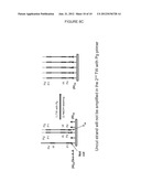 CLONAL AMPLIFICATION OF NUCLEIC ACID ON SOLID SURFACE WITH TEMPLATE     WALKING diagram and image