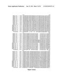 GEOBACILLUS STEAROTHERMOPHILUS ALPHA AMYLASE (AMYS) VARIANTS WITH IMPROVED     PROPERTIES diagram and image