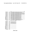 GEOBACILLUS STEAROTHERMOPHILUS ALPHA AMYLASE (AMYS) VARIANTS WITH IMPROVED     PROPERTIES diagram and image