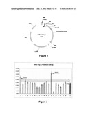 GEOBACILLUS STEAROTHERMOPHILUS ALPHA AMYLASE (AMYS) VARIANTS WITH IMPROVED     PROPERTIES diagram and image