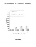 GEOBACILLUS STEAROTHERMOPHILUS ALPHA AMYLASE (AMYS) VARIANTS WITH IMPROVED     PROPERTIES diagram and image