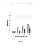 GEOBACILLUS STEAROTHERMOPHILUS ALPHA AMYLASE (AMYS) VARIANTS WITH IMPROVED     PROPERTIES diagram and image