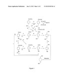 MICROORGANISMS AND METHODS FOR THE PRODUCTION OF 1,4-CYCLOHEXANEDIMETHANOL diagram and image