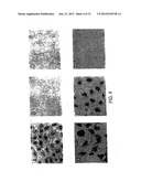 Recombinant Influenza Viruses for Vaccines and Gene Therapy diagram and image