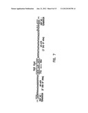 Recombinant Influenza Viruses for Vaccines and Gene Therapy diagram and image