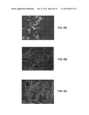 CELL CARRIER, METHODS OF MAKING AND USE diagram and image