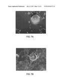 CELL CARRIER, METHODS OF MAKING AND USE diagram and image